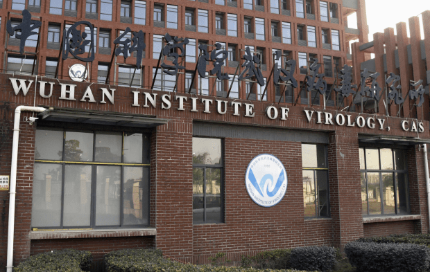 „Es spricht alles gegen einen natürlichen Ursprung des Virus“