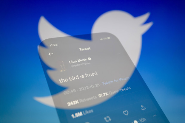 Musk kontert EU-Zensur: Alle Anträge auf Löschung von Posts werden veröffentlicht