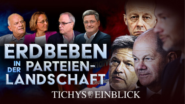 Das Parteienbeben: Aufschwung der AfD