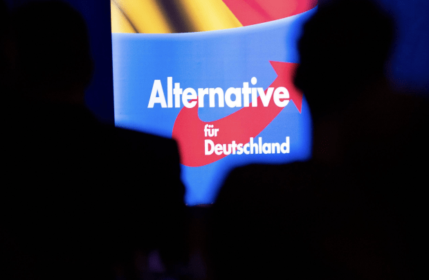 „Solidarität“ ist ein wichtiger Grund für den Aufstieg der AfD
