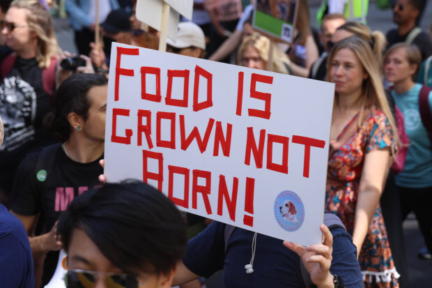 Der Kampf für Tierrechte und eine vegane Welt