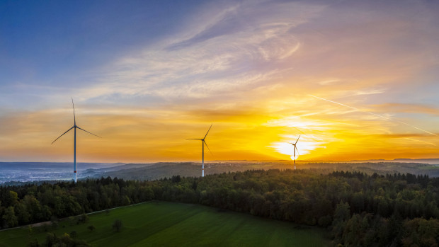 Die grünen Feinde der Natur