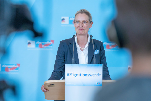 Was die anderen Parteien für die AfD tun