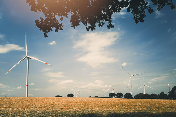 Wenn der Strompreis negativ wird …