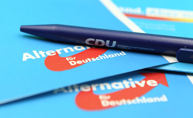 AfD erreicht in Umfragen neuen Höchstwert