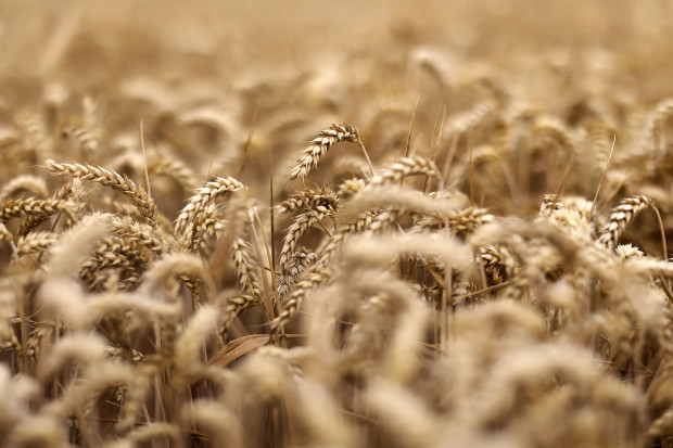 Nach Stopp des Getreideabkommens: Russland will Schiffe im Schwarzen Meer als Gegner betrachten