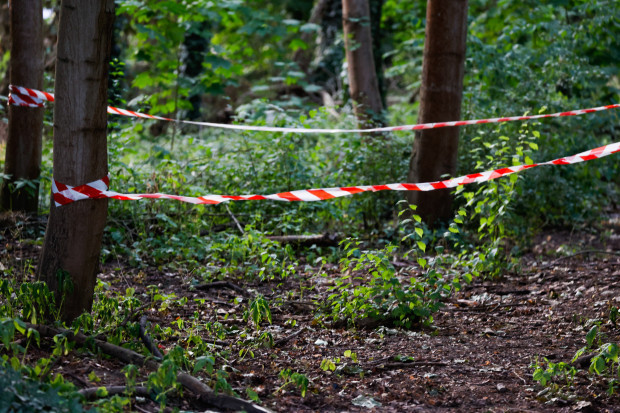 Gehört die Löwin Karla den Remmos oder ist sie doch ein Wildschwein?