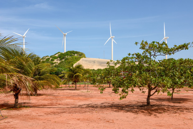Ärger im Musterland der erneuerbaren Energien