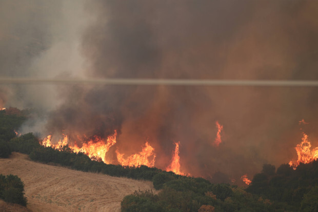 Evros: Migranten wegen Brandstiftung festgenommen – und ihre Fänger