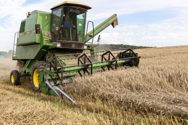 Geringere Menge und schlechtere Qualität