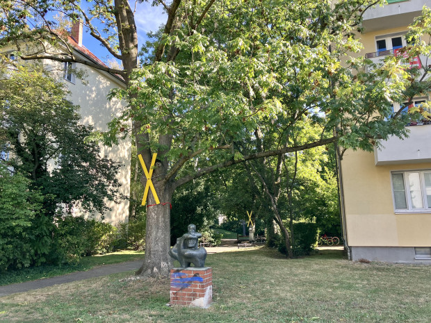 Bäume müssen für Asylunterkünfte weichen