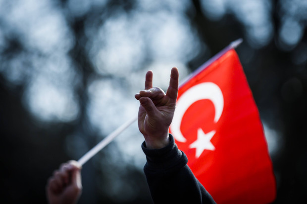 Die Grauen Wölfe breiten sich in Deutschland aus