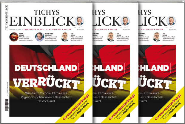 Tichys Einblick 11-2023: Deutschland ver-rückt