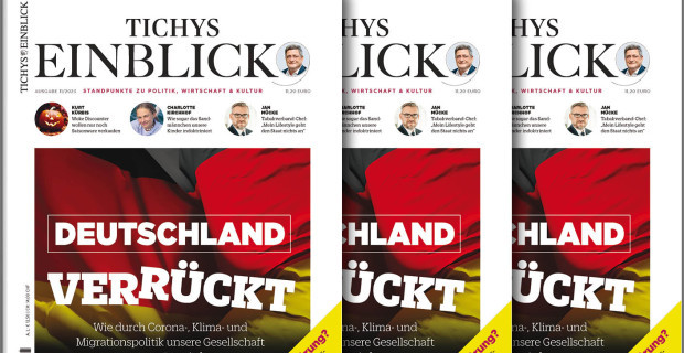 Tichys Einblick 11-2023: Deutschland ver-rückt