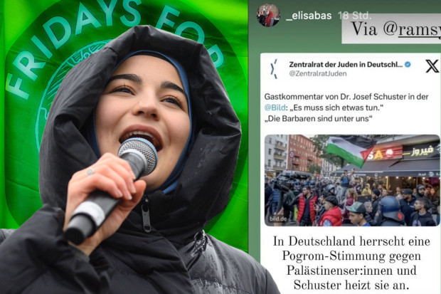 „Fridays for Future“-Sprecherin mit antisemitischer Entgleisung
