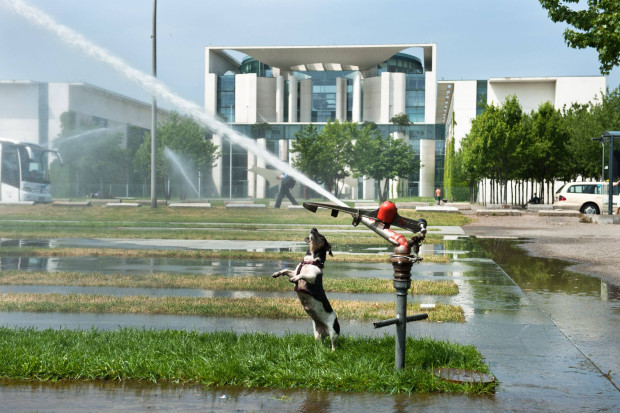Friedrich Merz ante portas