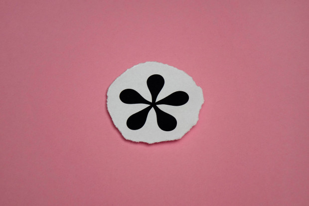 Die Sprache „gerecht“ machen?