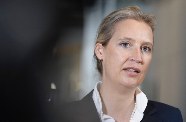 Weidel: Brandmauer fällt nach Wahlen im Osten