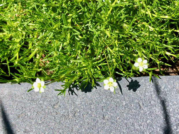 Oft bedeuten kleine Dinge das große Glück