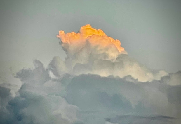 Wie schauen Glücksmomente aus, welche TE-Leser 2023 erlebten?