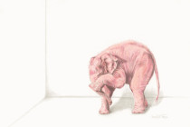 Was ist Ihr Motto-Lied für 2024? Wir hätten da was anzubieten