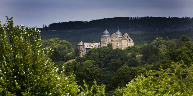 Windräder im Märchenwald
