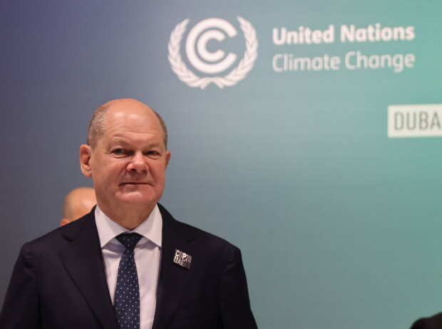 Atomkraft-Gegner überwintern – im Emirat mit warmem Hintern