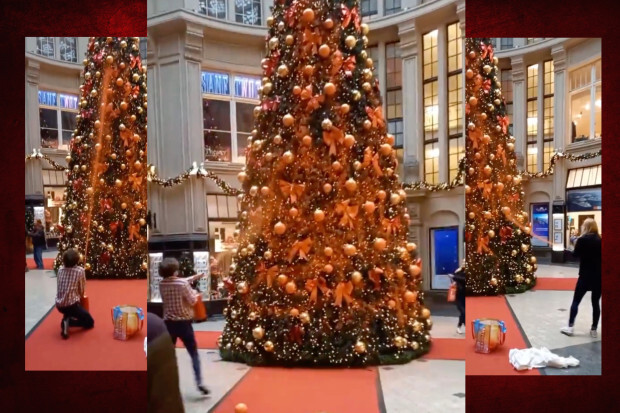 Letzte Generation erklärt Weihnachtsbäumen den Krieg