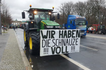 Vor Angst flackert die Ampel als Funzel