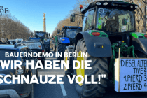 „Wir haben die Schnauze voll“: Der Bauernprotest in Berlin