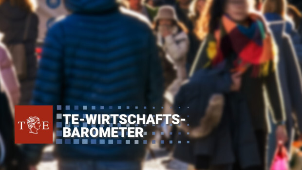 TE-Wirtschaftsbarometer: Privathaushalte sehen ihre Wirtschaftslage eher pessimistisch