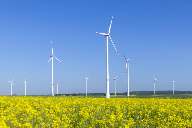 Soll eine kritische Studie zur Windkraft unterdrückt werden?