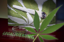 Cannabis: Die unterschätzte Droge