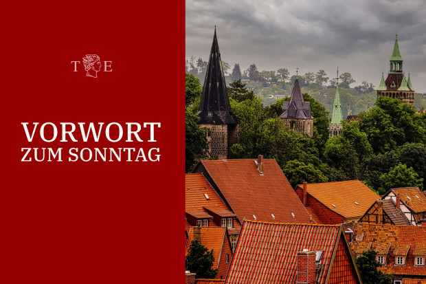 Parteiloser Pfarrer erhält Arbeitsverbot, weil er für die AfD kandidiert