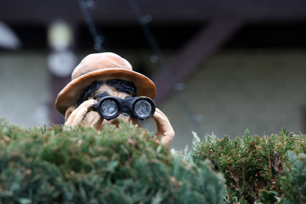 Volkssport Denunziantentum: Der Anzeigenhauptmeister macht Schule