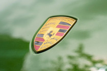 Porsche fällt 200 Hektar Wald – für die Nachhaltigkeit