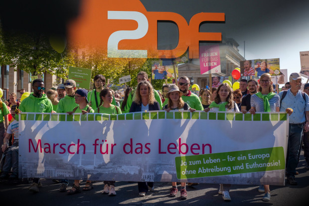 Die Lebensrechtbewegung als Zielscheibe