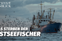 Bedrohte Ostseefischerei: Zwischen Inflation und Bürokratie