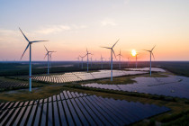 Gemeinsamer Appell: Stiftung Klimawirtschaft zusammen mit Großunternehmen für grüne Politik