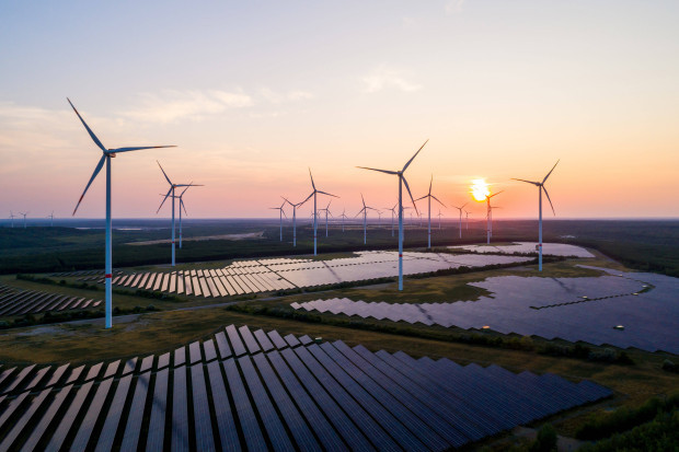 Gemeinsamer Appell: Stiftung Klimawirtschaft zusammen mit Großunternehmen für grüne Politik