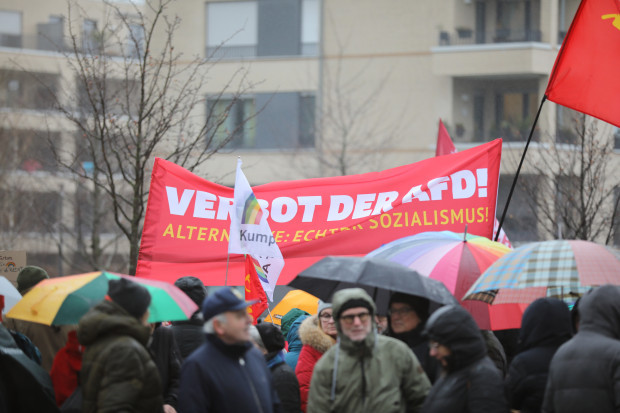 Die AfD wird nicht verboten