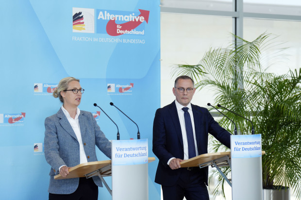 Stürzt die AfD bei Meinungsumfragen ab?