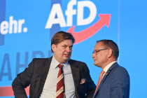 Krise der AfD, während CDU und BSW als Stützräder die Grünen stabilisieren