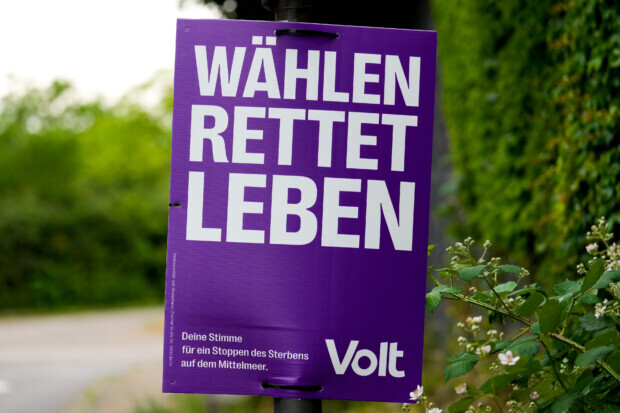 Volt ist grüner als die Grünen – und eine Gefahr für die Ampel