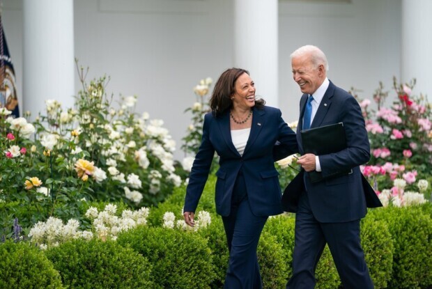 Jetzt Harris statt Biden? So einfach ist es nicht