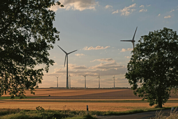 Wenn das Windrad die Wildschweinleber ungenießbar macht