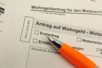 Milliardenbelastungen: Steuerzahler kommen für Bürgergeld-Wohnungen auf