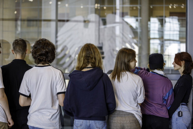 AfD und Die Linke legen bei U18-Testwahl zu, Grüne brechen ein