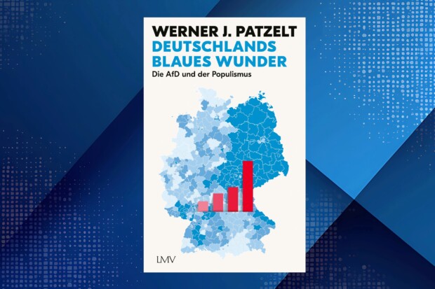 Wegweiser zu einem rationalen Umgang mit der AfD