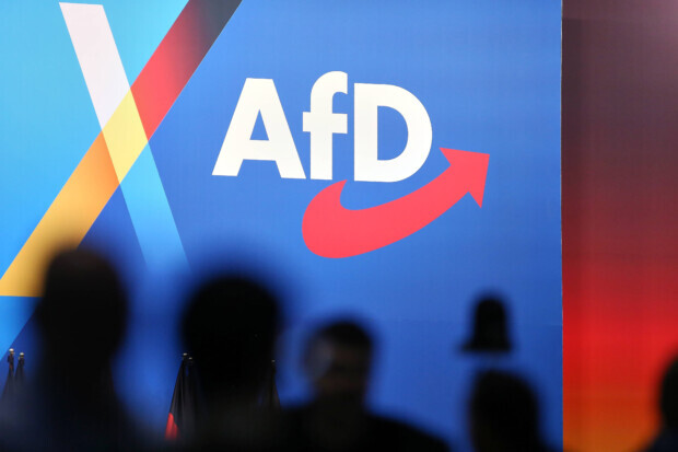 AfD triumphiert mit immer neuen Umfrage-Rekorden